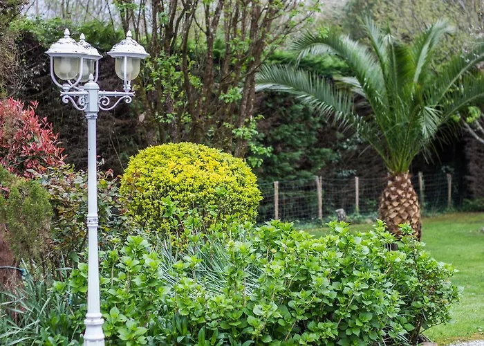 Yoda Saint-Jean-de-Luz