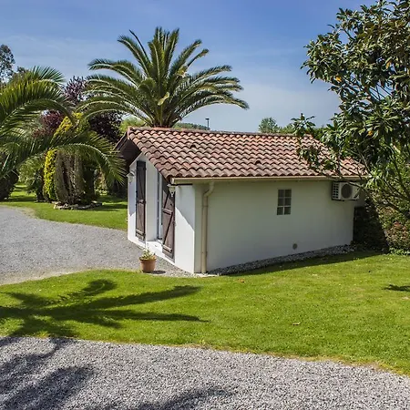 Bed and Breakfast Yoda