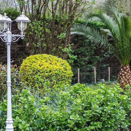 Yoda סן-ז'אן-דה-לוז