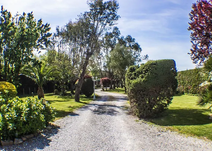 Yoda סן-ז'אן-דה-לוז